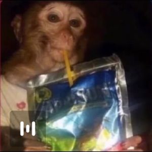 Meet your Posher, Cody